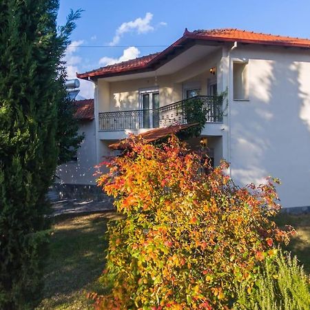 Woods Cottage Loutra Pozar Aridaia Megaplatanos Exterior photo