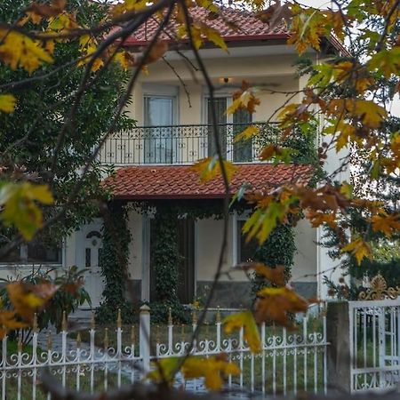 Woods Cottage Loutra Pozar Aridaia Megaplatanos Exterior photo